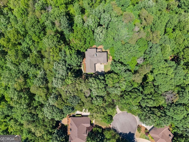 3652 Shady Oak Trl, Gainesville, GA 30506 - view of property location featuring a forest