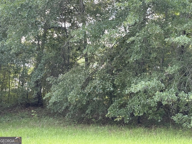 0 Clyde Pl, Dublin, GA 31021