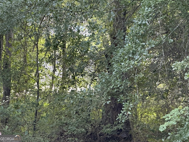 0 Clyde Pl, Dublin, GA 31021