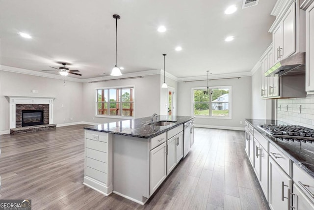 1824 Alberta Ln, Winder, GA 30680 - kitchen featuring a sink, stainless steel appliances, under cabinet range hood, a ceiling fan, and dark stone countertops