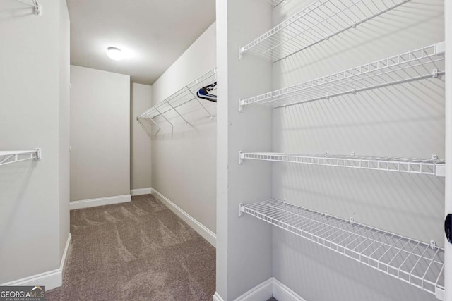 1824 Alberta Ln, Winder, GA 30680 - spacious closet featuring carpet floors