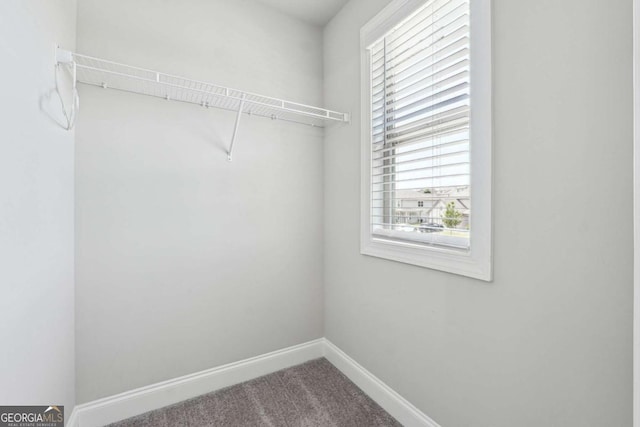 1824 Alberta Ln, Winder, GA 30680 - walk in closet with carpet flooring