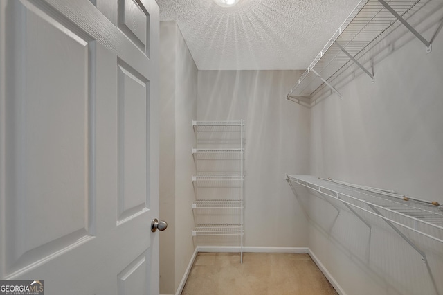 85 Parks Pl, Sharpsburg, GA 30277 - spacious closet with light colored carpet