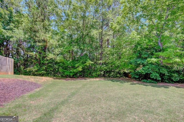 85 Parks Pl, Sharpsburg, GA 30277 - view of yard