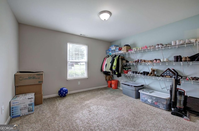 230 Louise Ln, Calhoun, GA 30701 - spacious closet featuring carpet flooring