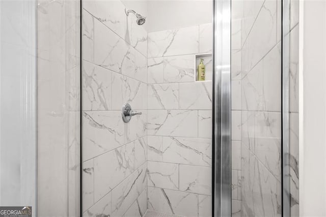 361 Traditions Ln, Hampton, GA 30228 - bathroom view of a stall shower