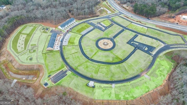 314 Sound Cir, Stockbridge, GA 30281 - aerial view of property and surrounding area