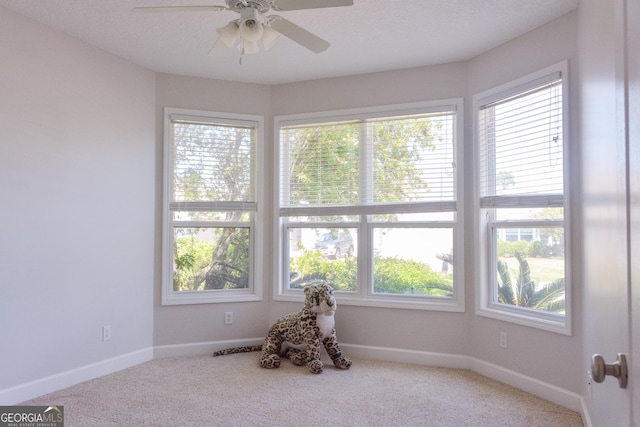 276 Laurel Landing Blvd, Kingsland, GA 31548 - unfurnished room featuring plenty of natural light, a ceiling fan, carpet flooring, and baseboards