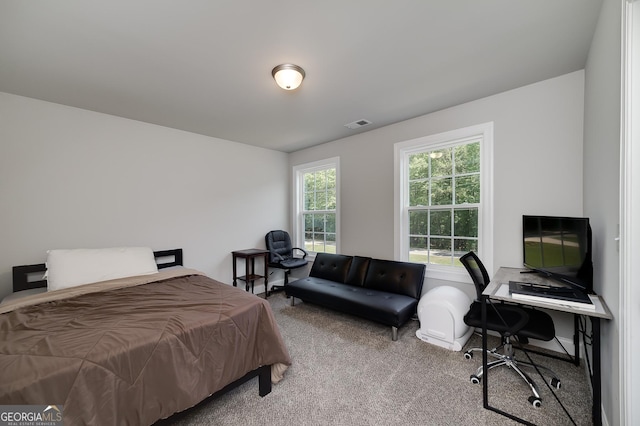 433 Wilson Dr, Mcdonough, GA 30252 - view of carpeted bedroom