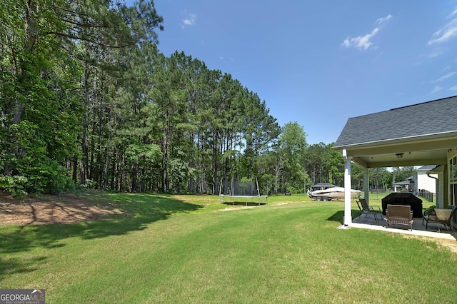 433 Wilson Dr, Mcdonough, GA 30252 - view of grassy yard with a trampoline and a patio