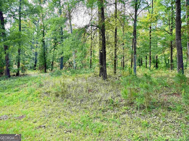 0 Possum Point Dr, Eatonton, GA 31024