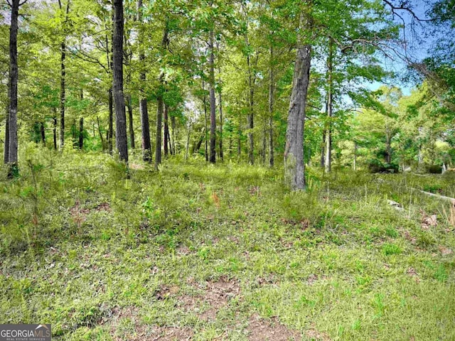 0 Possum Point Dr, Eatonton, GA 31024