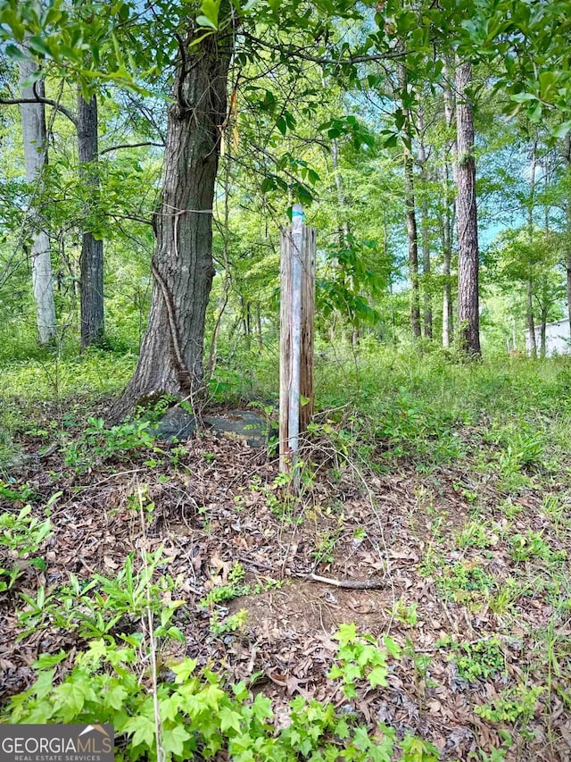 0 Possum Point Dr, Eatonton, GA 31024