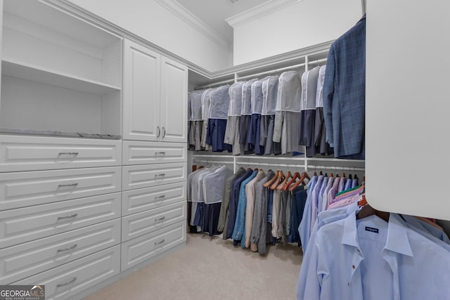 406 Vanderbilt Pkwy, Newnan, GA 30265 - walk in closet featuring carpet