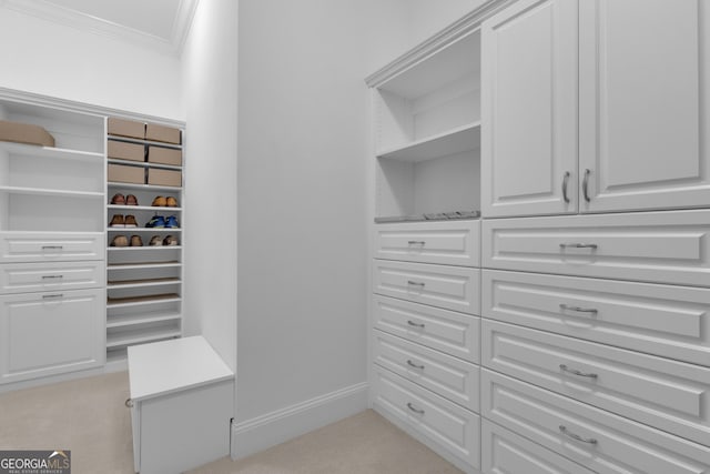 406 Vanderbilt Pkwy, Newnan, GA 30265 - spacious closet featuring light carpet