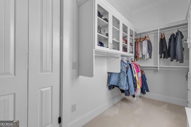 406 Vanderbilt Pkwy, Newnan, GA 30265 - walk in closet featuring carpet flooring