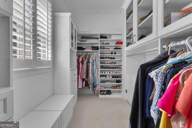 406 Vanderbilt Pkwy, Newnan, GA 30265 - walk in closet with carpet flooring