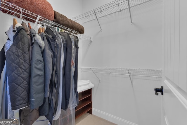 406 Vanderbilt Pkwy, Newnan, GA 30265 - view of walk in closet