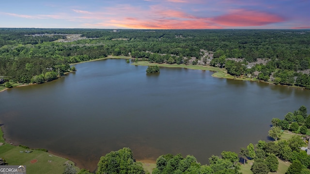 406 Vanderbilt Pkwy, Newnan, GA 30265 - aerial view of a forest and a large body of water