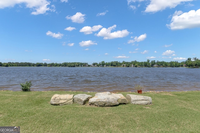 406 Vanderbilt Pkwy, Newnan, GA 30265 - water view