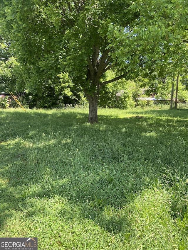 1 E 4th St, Aragon, GA 30104 - view of yard