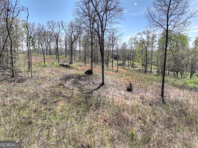 6 Arbor Creek Trl Unit 6, Mineral Bluff, GA 30559