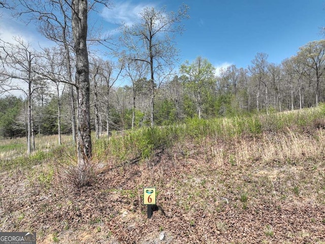 6 Arbor Creek Trl Unit 6, Mineral Bluff, GA 30559