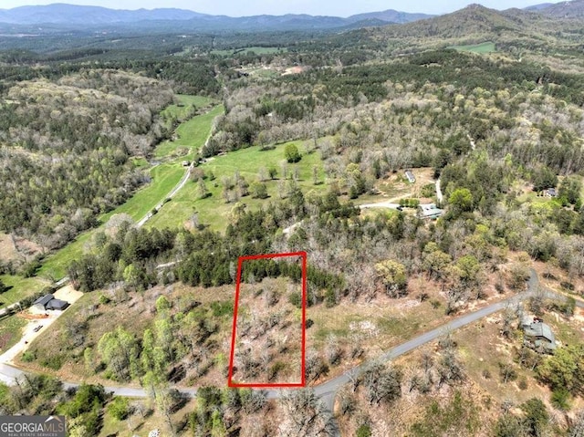 6 Arbor Creek Trl Unit 6, Mineral Bluff, GA 30559