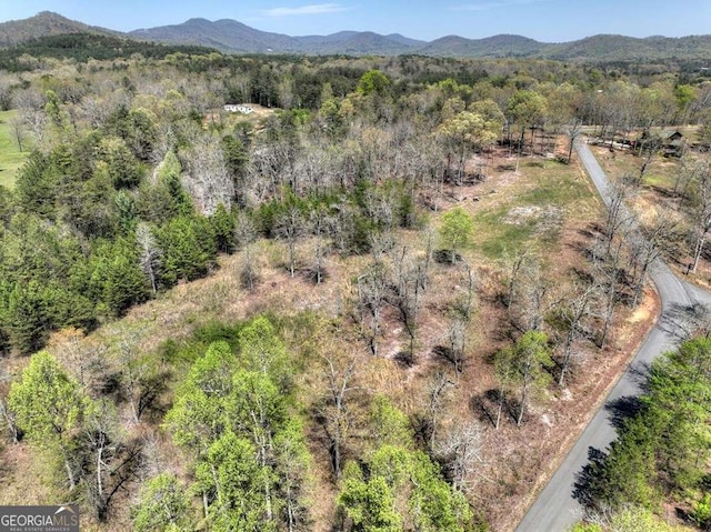 6 Arbor Creek Trl Unit 6, Mineral Bluff, GA 30559