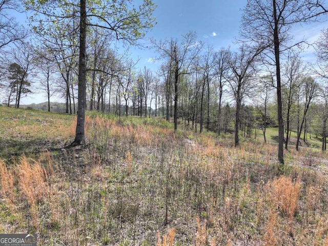 6 Arbor Creek Trl Unit 6, Mineral Bluff, GA 30559