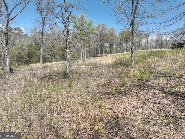 6 Arbor Creek Trl Unit 6, Mineral Bluff, GA 30559