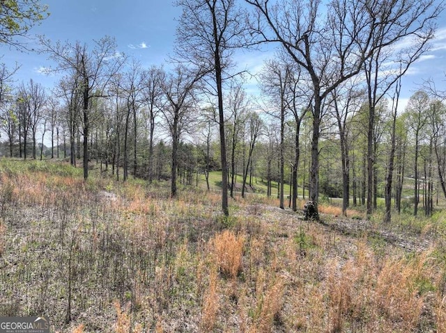 6 Arbor Creek Trl Unit 6, Mineral Bluff, GA 30559