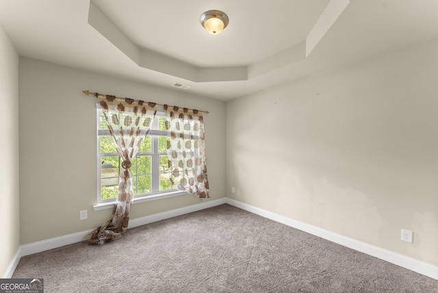 240 Somerset Dr, Dallas, GA 30132 - spare room featuring carpet, baseboards, and a tray ceiling
