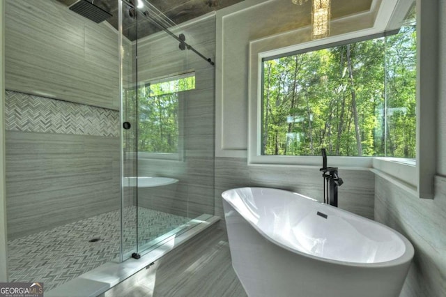 840 Arp Rd, Mineral Bluff, GA 30559 - full bath featuring a shower stall, a freestanding tub, and tile walls