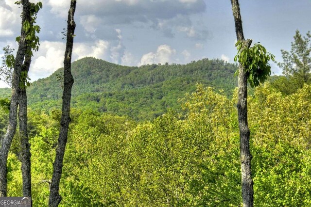 840 Arp Rd, Mineral Bluff, GA 30559 - mountain view with a forest