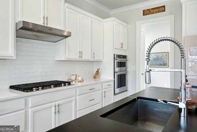 247 Widener Way, Peachtree City, GA 30269 - kitchen featuring under cabinet range hood, appliances with stainless steel finishes, white cabinets, decorative backsplash, and a sink