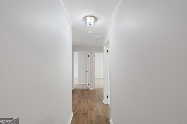 1173 Normandy Rd, Macon, GA 31210 - hallway featuring attic access, crown molding, light wood-style floors, and baseboards