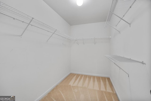 2584 Grayton Loop, Villa Rica, GA 30180 - walk in closet with light colored carpet