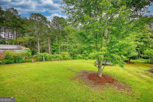 2905 Cammie Wages Rd, Dacula, GA 30019 - view of green lawn