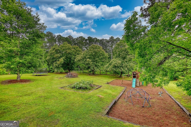 2905 Cammie Wages Rd, Dacula, GA 30019 - view of green lawn with a trampoline
