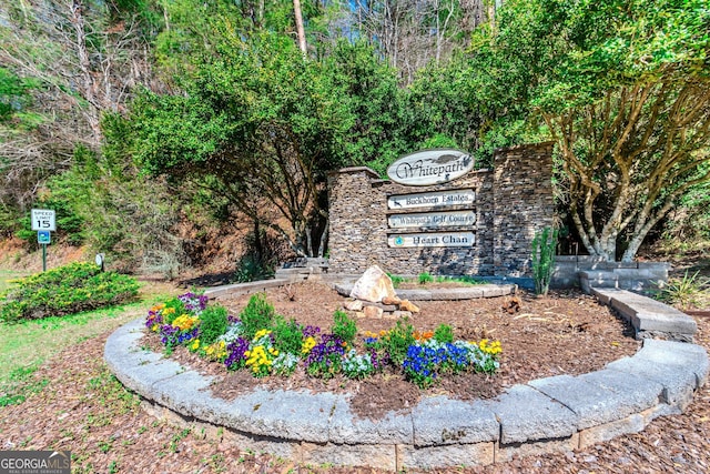 32 N Muscogee Dr, Ellijay, GA 30540 - view of community sign