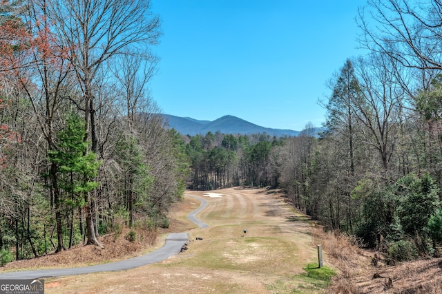 32 N Muscogee Dr, Ellijay, GA 30540 - view of mountain background with a forest
