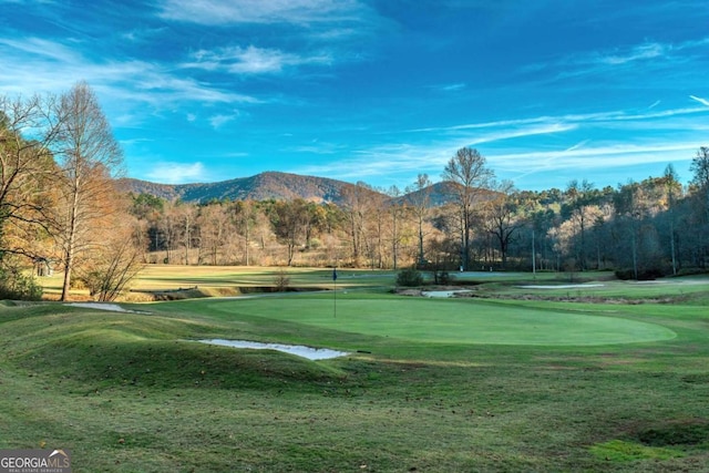 32 N Muscogee Dr, Ellijay, GA 30540 - view of community with golf course view, a mountain view, a putting green, and a lawn