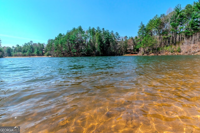 32 N Muscogee Dr, Ellijay, GA 30540 - water view featuring a heavily wooded area