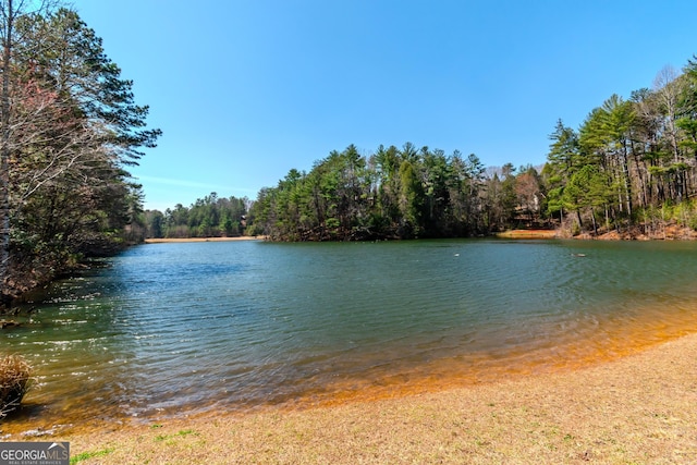 32 N Muscogee Dr, Ellijay, GA 30540 - water view featuring a forest