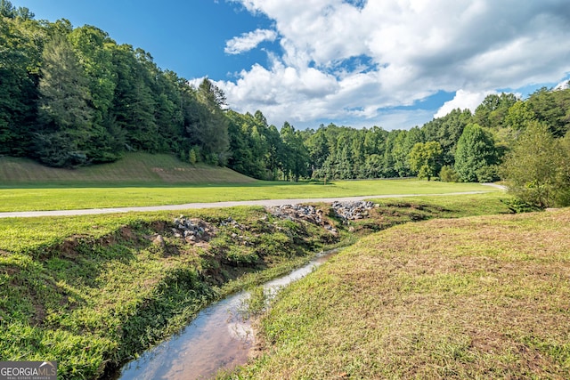 32 N Muscogee Dr, Ellijay, GA 30540 - view of street