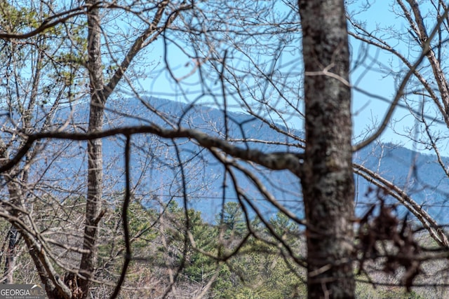 32 N Muscogee Dr, Ellijay, GA 30540 - water view with a mountainous background
