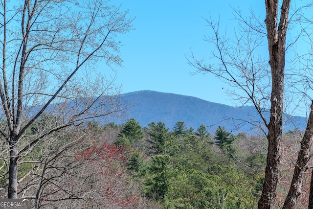 32 N Muscogee Dr, Ellijay, GA 30540 - mountain view featuring a forest