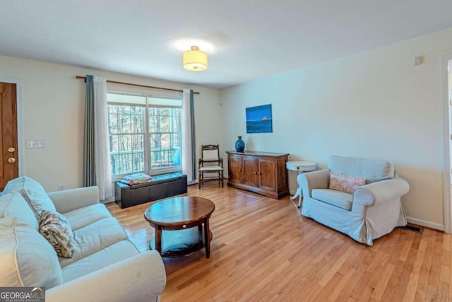 32 N Muscogee Dr, Ellijay, GA 30540 - living area with light wood-style floors