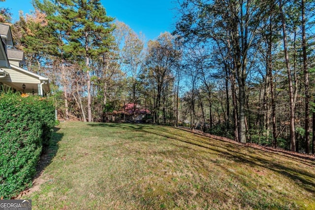 32 N Muscogee Dr, Ellijay, GA 30540 - view of grassy yard